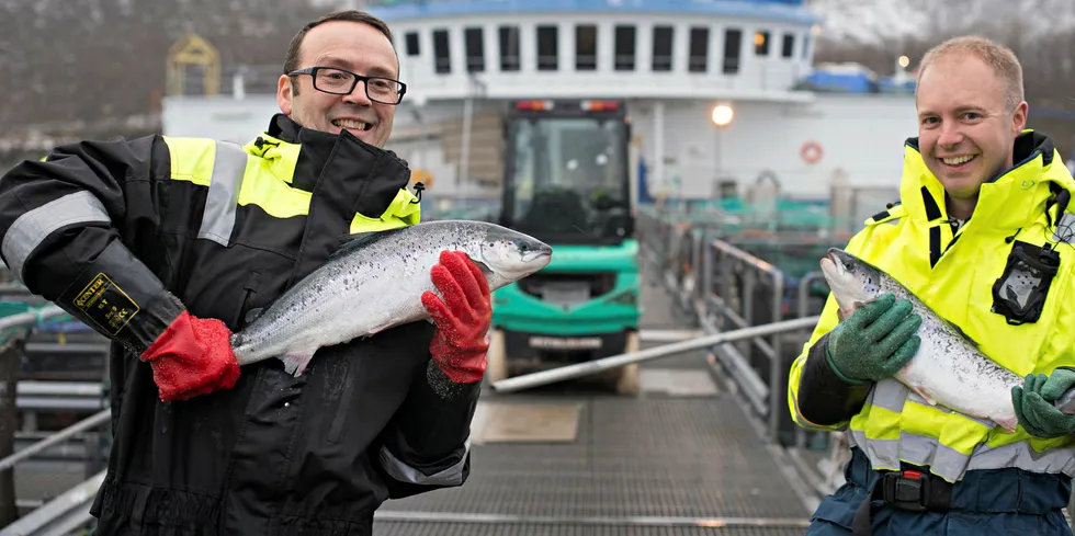 Nofima-forskerne Audun Iversen og Øystein Hermansen kan i en fersk rapport om konkurranseevnen for norsk laks, slå fast at Norske oppdrettere fortsatt er blant de mest effektive i verden.