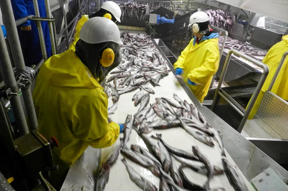 Alaska processors continue to derive more income from government contracts.