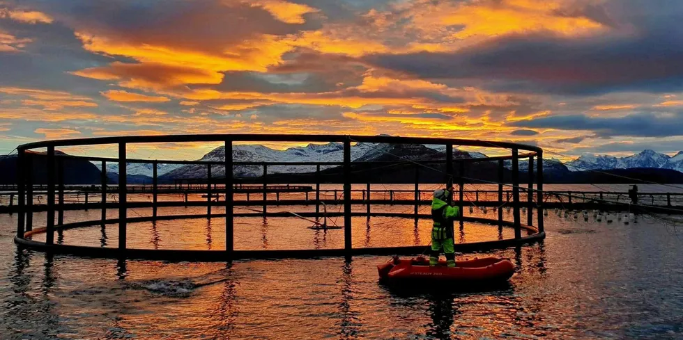 Illustrasjonsfoto: «Solnedgang» for oppdrett i opne merdar? Dagens gjestekommentar handlar om å utvikle havbruket frå opne merdar til produksjonsmetodar utan lakselus.