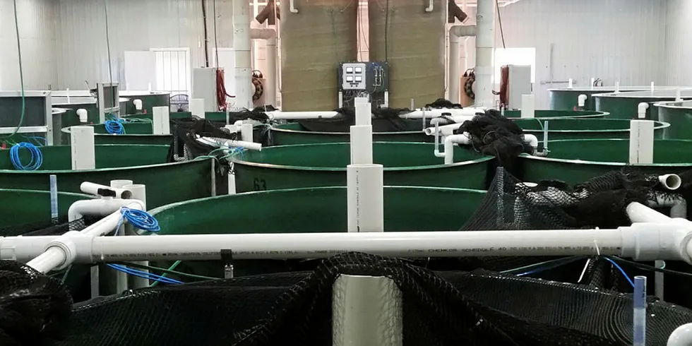 AquaBounty's Rollo Bay facility in Canada.