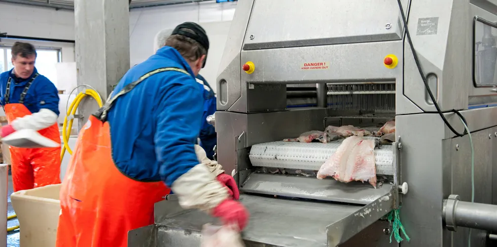 I arbeidet med å bygge opp globale systemer for bedre matsikkerhet må Norge løfte frem sjømaten for alt den er verdt.