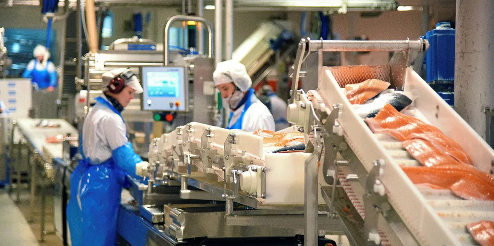 STORT POTENSIAL: SinkabergHansen har i dag 35 ansatte knyttet til selskapets filetproduksjon ved fabrikken på Marøya. Samtidig ligger et stort potensial til flere ansatte og høyere verdiskaping gjennom økt foredling.