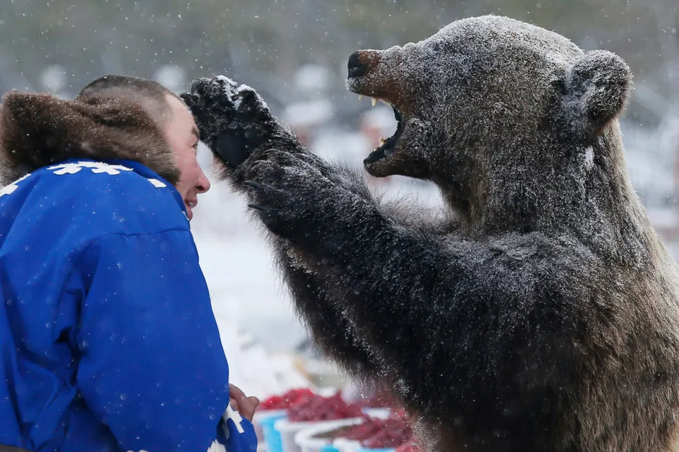 Strong interest: a local resident examines a stuffed bear at the Reindeer Herder's Day in the city of Nadym in the Yamal-Nenets region that hosts all gas assets of Russian independent gas producer Novatek