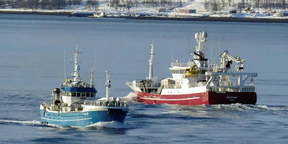 TIL OG FRA: Det har vært hektiske dager i loddefisket de siste dagene. Her møtes kystnotbåten «Kildin» og ringnotbåten «Vestfart» i Tjeldsundet. Førstnevnte på vei nordover etter å ha levert 210 tonn hos Lofoten Viking på Værøy, sistnevnte på vei med en last på 1030 tonn til Pelagia Måløy.Foto: Jon Eirik Olsen