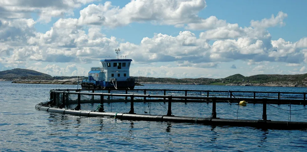 En av Emilsen Fisks lokaliteter i Vikna i Nord-Trøndelag.