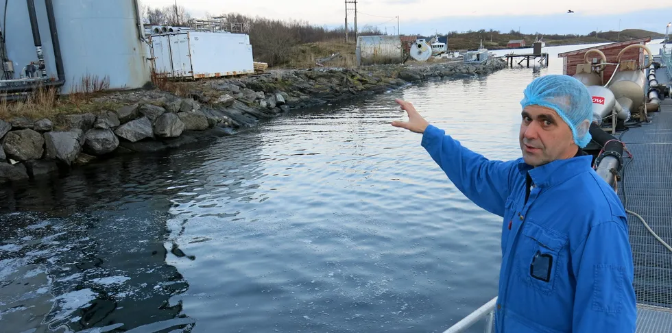 Johan Edvard Andreassen, daglig ledet N-950, ved fergeleiet på Sør-Arnøy.