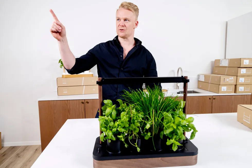Selvdyrkingssystemet til Auk Eco regulerer vanning og lys. Nå overgår veksttakten til selskapet plantenes vekst, etter at gründer Didrik Dimmen har forsert flere vanskelige faser.