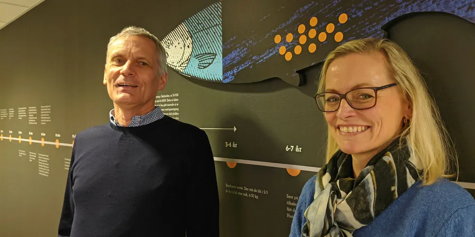 Daglig leder Jan-Emil Johannessen og markedsdirektør Birgitte Sørheim i Benchmark Genetics foran «lakseveggen» på selskapets kontorer i Sandviken i Bergen.