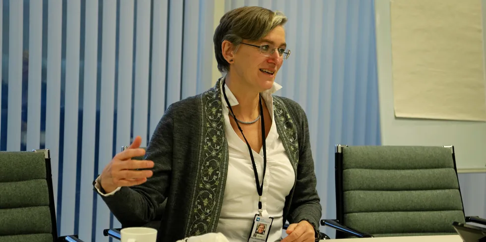 Utålmodig: Ellen Hambro, direktør for Miljødirektoratet, mener vi må tåle en del naturinngrep fra vindkraft på land for å raskt få nok strøm til elektrifisering og andre klimatiltak.