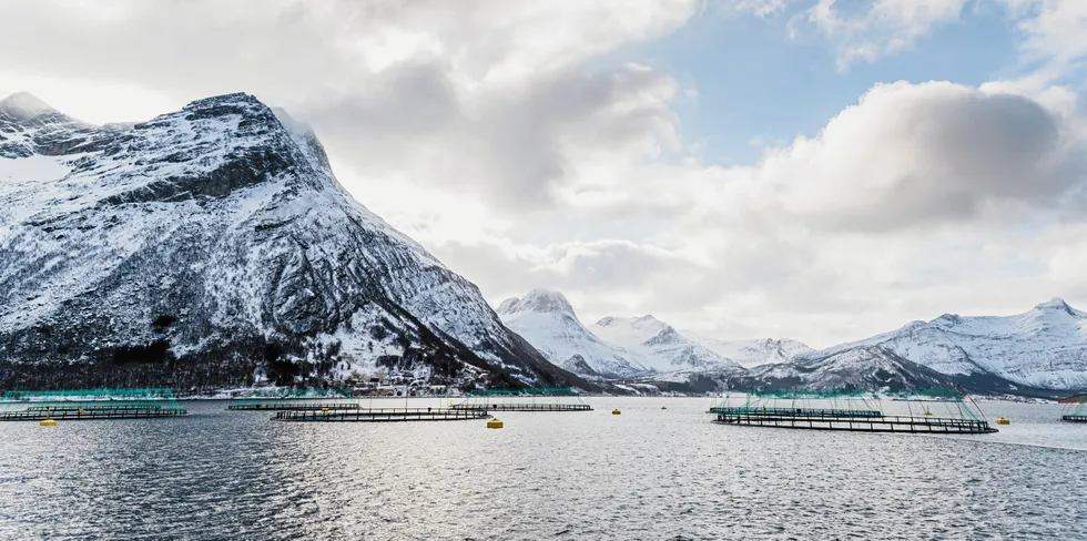 Kvarøy Fiskeoppdretts lokalitet Olvika i Lurøy kommune på Helgeland.