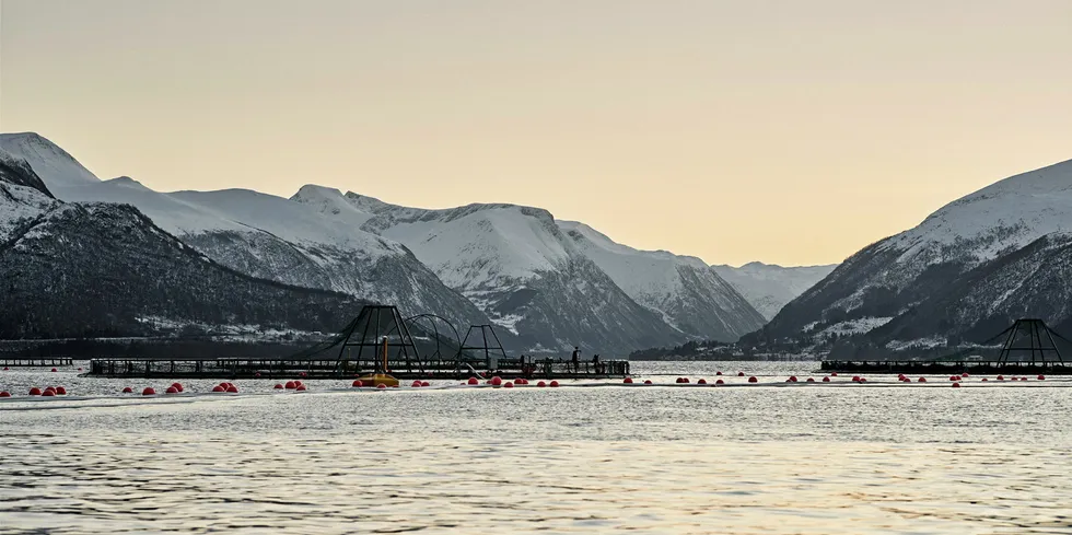 Gadus Group har fått tillatelse til å drive torskeoppdrett på Nordmøre.