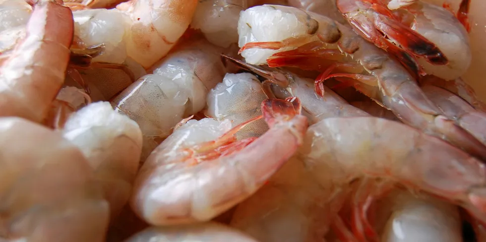 The USDA has made major purchases of wild US shrimp over the past two years.