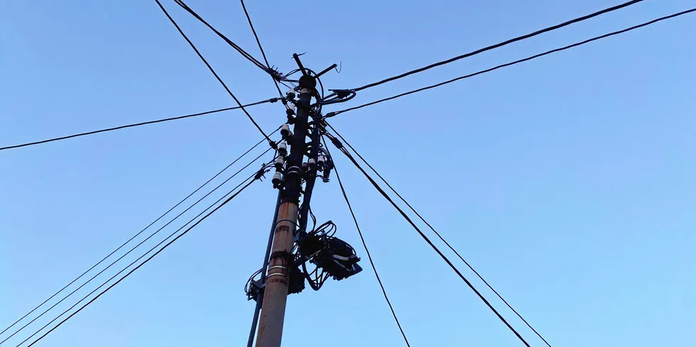 Høy strømpris, nye navn på nettselskaper, feil beregning av systempris og taksonomi - Europower fulgte med på hele bransjen også denne måneden.