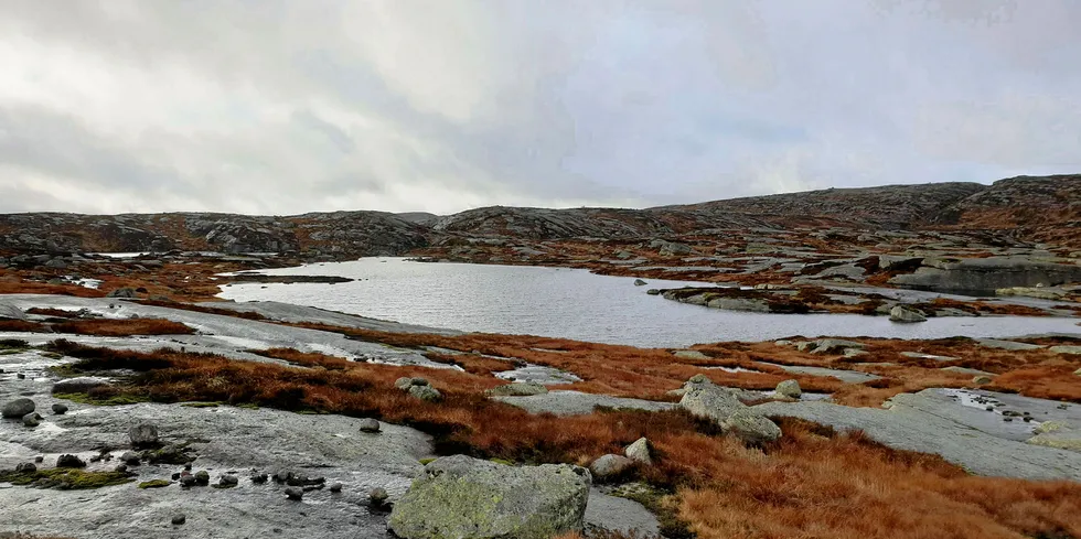 I dette området skal Tysvær Vindpark settes opp. Det er planlagt elleve turbiner.