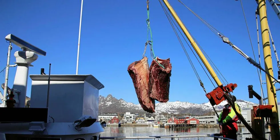 SISTE LAST: Søndag leverte mannskapet om bord «Åse-Karin» siste last med hvalkjøtt til Lofothval for i år. Her fra en levering i mai.Foto: Silje Helene Nilsen