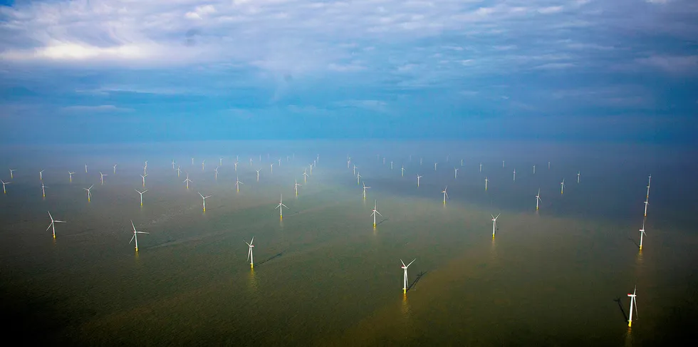 The London Array offshore wind farm off the UK