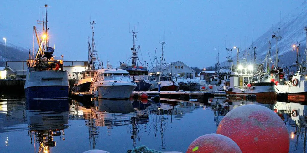 FERSK FISK: Det er kystflåten som forsyner fiskeindustrien med fersk fisk. Trålerne fryser om bord. Foto: Jørn Mikael Hagen