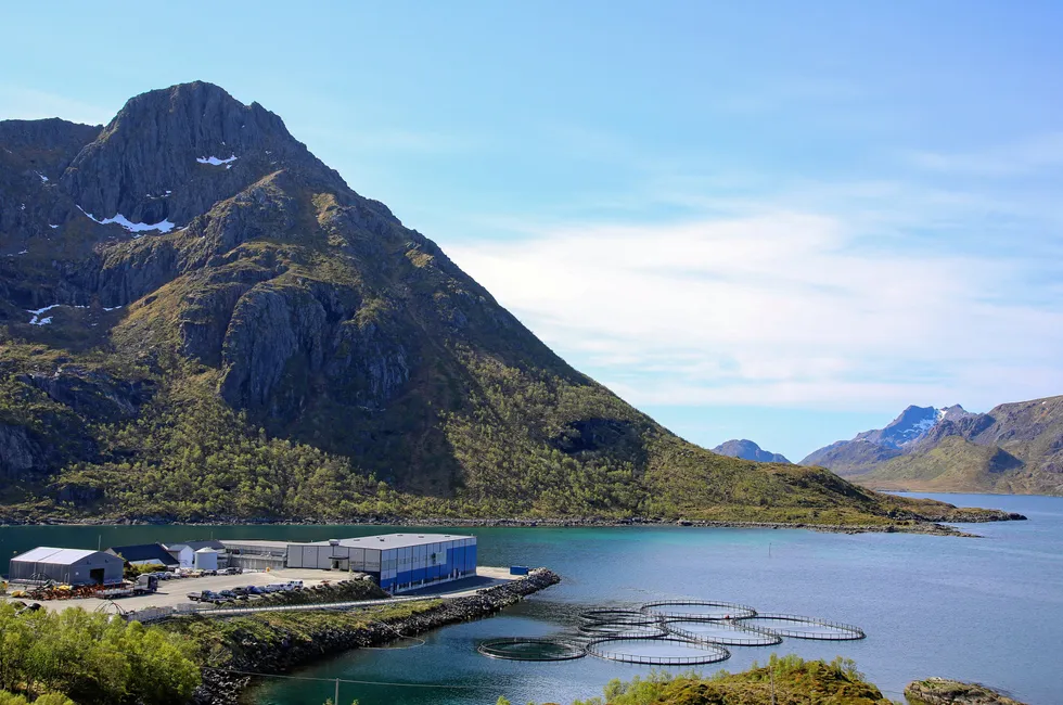 Egil Kristoffersen & Sønner merker lusepresset i nord, og har gjort tiltak. – Vi avsluttet operasjonen i Malnesfjorden akkurat i tide (10 minutter før oppstart fredag) for å kunne delta på vår egen feiring av 40 år i laksenæringa forrige uke, skriver selskapet på Facebook.