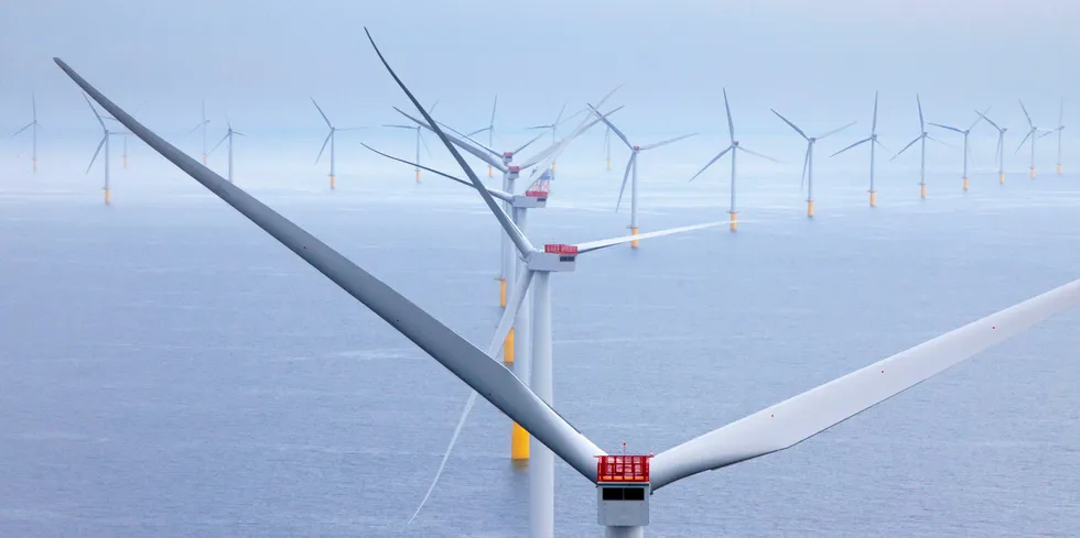 Danske Ørsteds havvindpark Walney i irskesjøen leverer strøm til det britiske fastlandet. Vindkraft var i november nesten like stor strømkilde for britene som gass, viser nye tall.