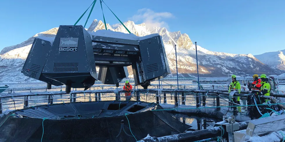 Sensorer fra Biosort installeres i merd hos Cermaq