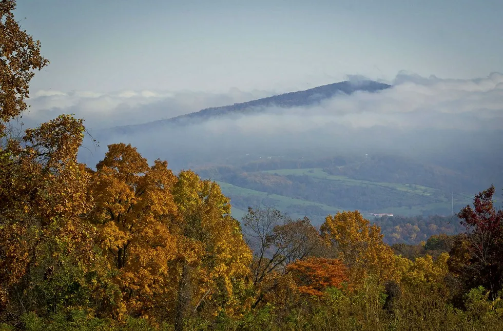 Blue Ridge: The company will enter into a joint venture with an undisclosed buyer