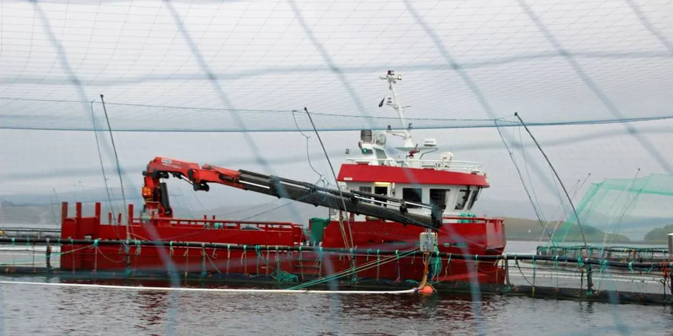 NED: Lønnsomheten gikk litt ned for matfiskprodusentene i fjor sammenlignet med 2016.Foto: Anders Furuset