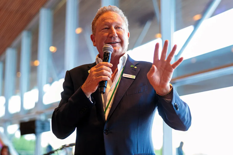FFI owner Andrew 'Twiggy' Forrest.