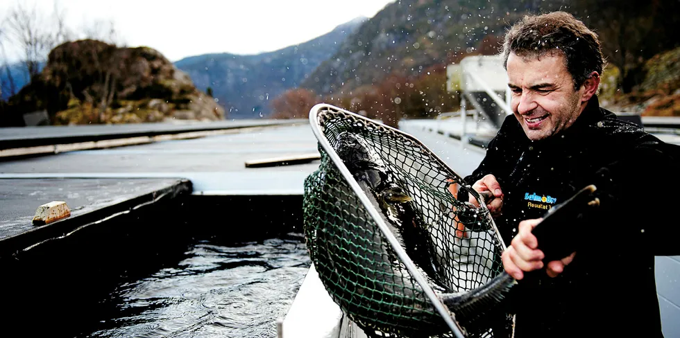 Jan Arne Brekke, daglig leder i Sogn Aqua AS med et eksemplar av oppdrettskveita i håven.