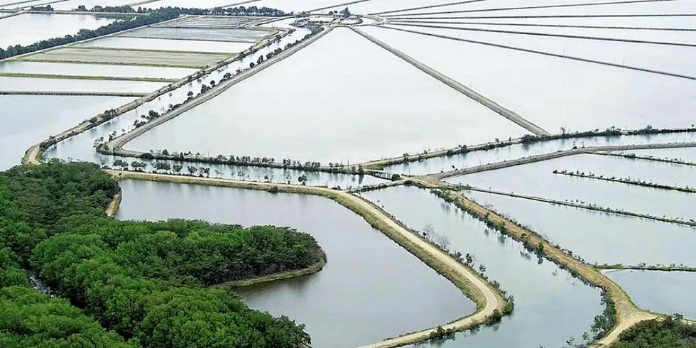 Ecuador shrimp exporters will be keen to avoid any repetition of an export ban linked to white spot contamination that briefly halted consignments entering China last year.