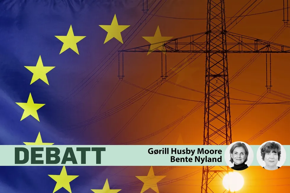 Slik verden har blitt, handler energipolitikk om beredskap mer enn noe annet, skriver Gørill Husby Moore og Bente Nyland i dette debattinnlegget.