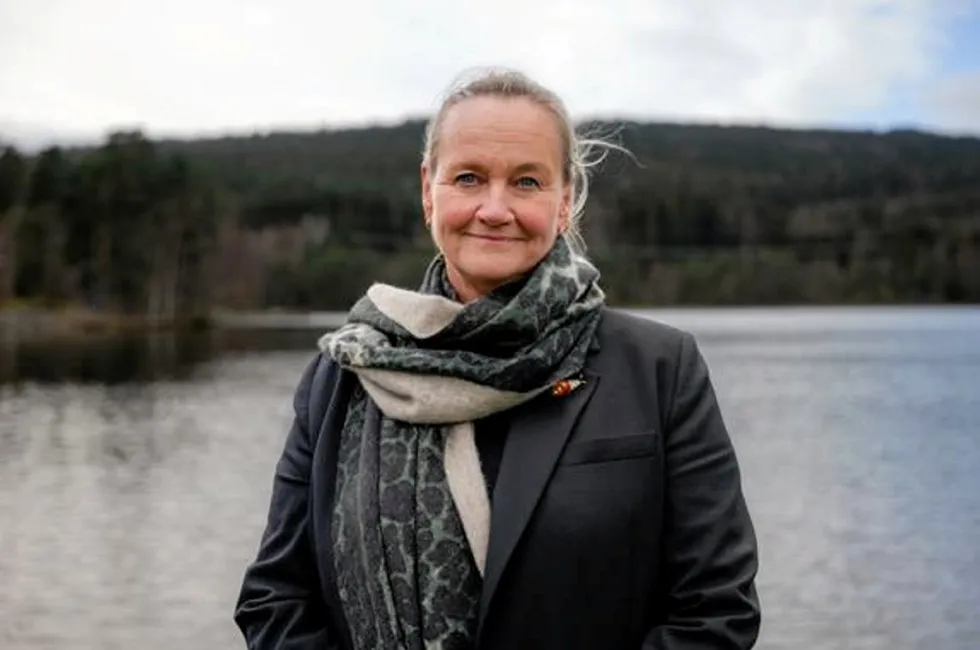 Elisabeth Vike Vardheim har fått en tøff start i jobben som konsernsjef i Statnett. Nå må hun innse at det nye regulerkraftmarkedet må utsettes helt til 4. mars 2025.