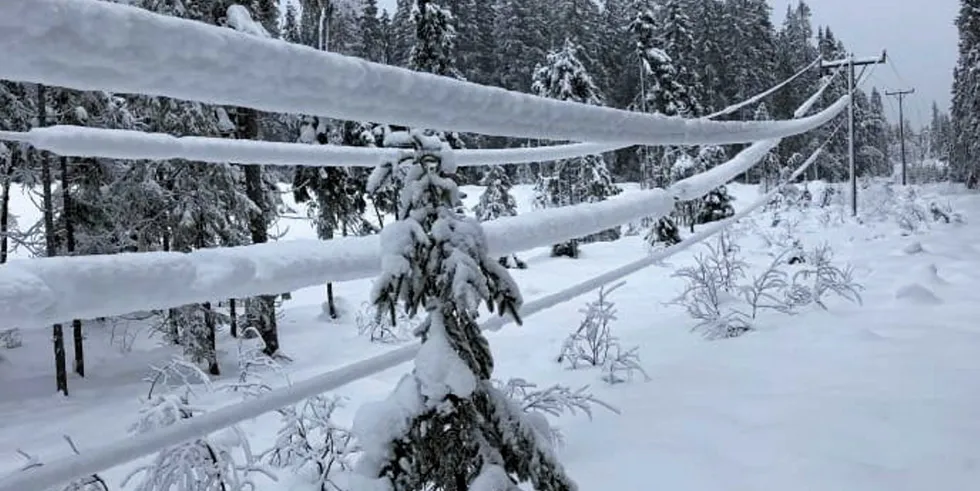 Det er fare for nye strømbrudd i Elvias nett i morgen som følge av mye tung snø. Også tidligere i vinter var det et problem, blant annet her i Nittedal, nord for Oslo.