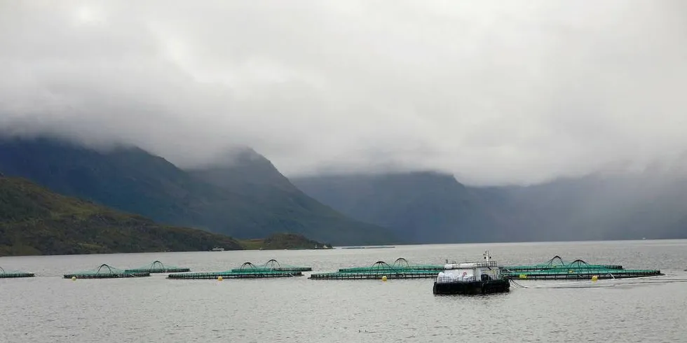 KVANTUM LAKS I MERDENE: Lakseoppdrett i Vest-Finnmark. Det er viktig for lakseoppdretterne å holde rede på hvor mye laks det står i merdene til enhver tid.Ill.foto: Agnar Berg