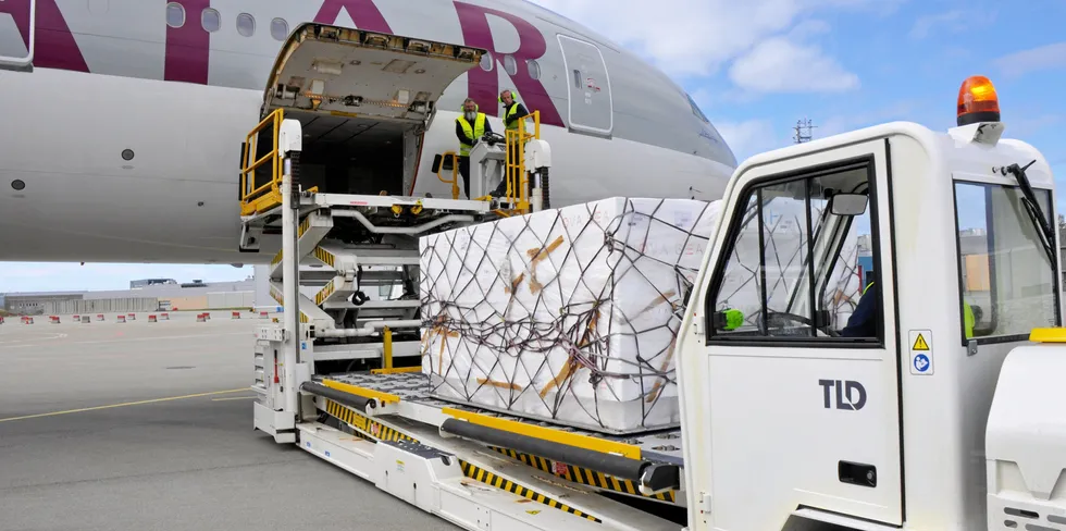 Det såkalte flymarkedet lever sitt eget liv. Brett med laksekasser lastes om bord i fraktefly fra Qatar Airways i Bodø.