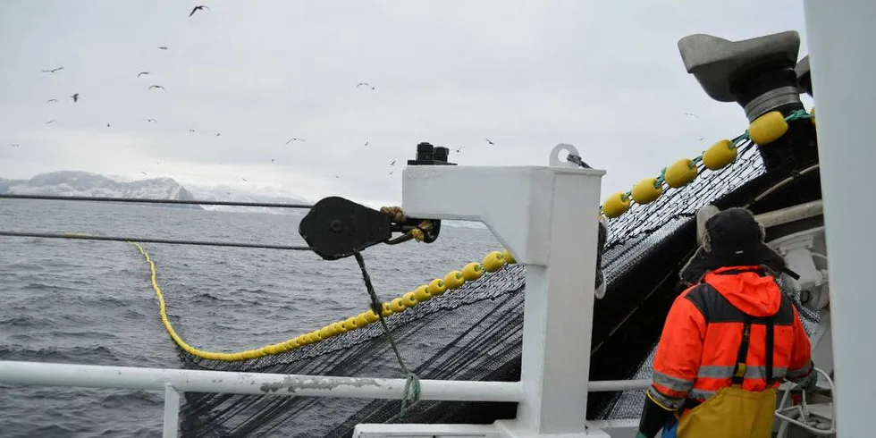 UAVKLART: Hvordan fordelingen av NVG-sild mellom kyststatene blir i 2019, er ikke avklart.Foto: Einar Lindbæk