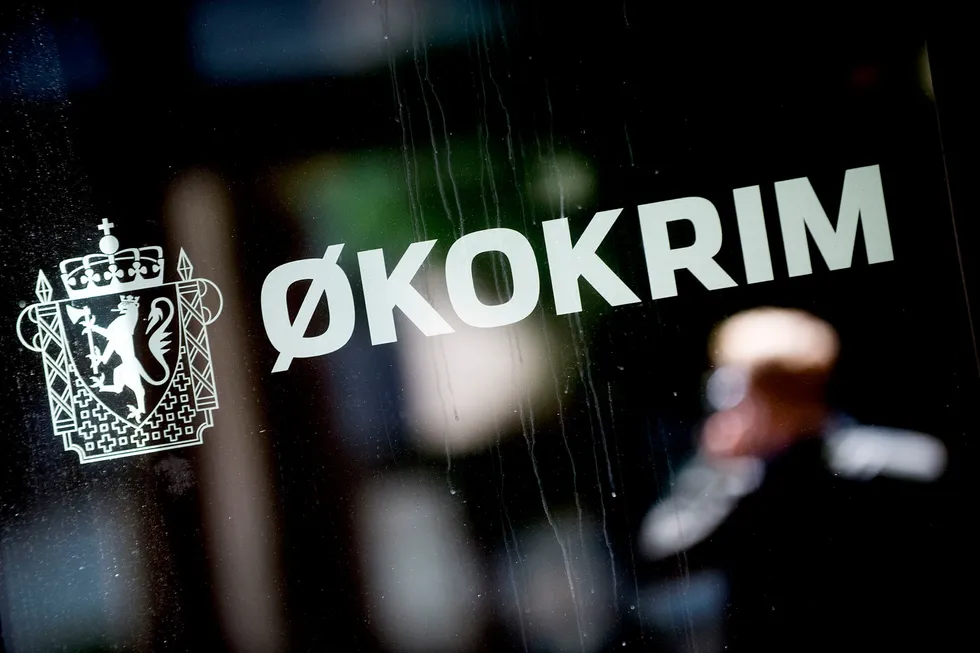 Ekstern granskning trengs i komplekse saker med mistanke om økonomisk kriminalitet. Et egnet organ burde være Økokrim, skriver artikkelforfatteren.