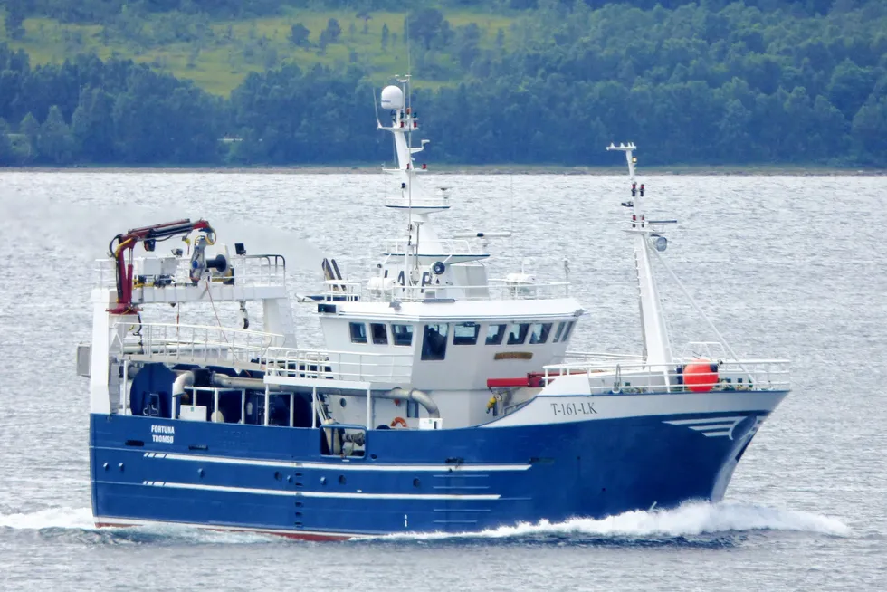 Skipper på «Fortuna» fra Husøya tror det er flere båter på feltet utenfor Røst i år enn tidligere.