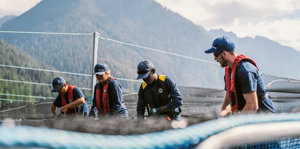 Cermaq Canadas Venture Point-oppdrettsanlegg vil stenge som en del av den kanadiske regjeringens beslutning om å oppheve oppdrett av netpen laks på Discovery Islands innen 2022.