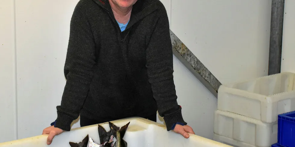 OPPGRADERER: Både vær og virus har skapt ekstra utfordringer for daglig leder Kjell Inge Jakobsen og de øvrige ansatte ved fiskemottaket Seløy Fisk på Helgeland.