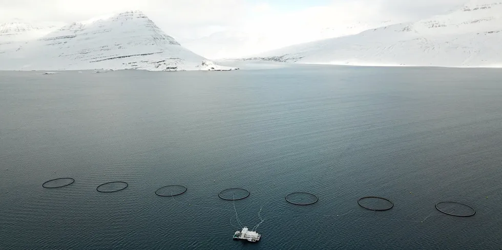 Bildet viser én av Laxar sine lokaliteter ved Gripaldi i Reydarfjordur på Island iceland. Det er ikke kjent for IntraFish om det er denne lokaliteten prøven ble oppdaget ved.