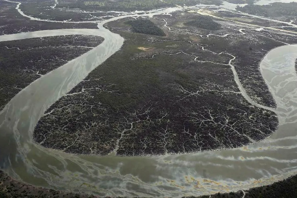 More abductions: in Nigeria's Niger Delta region