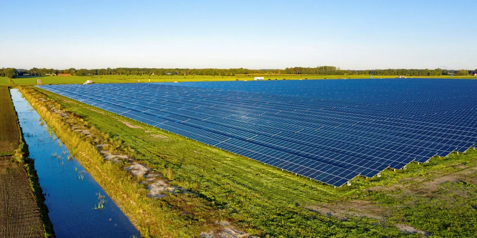 BayWa r.e. solar project in the Netherlands