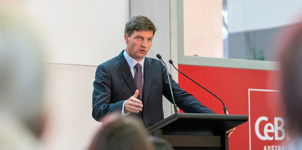 . Angus Taylor.