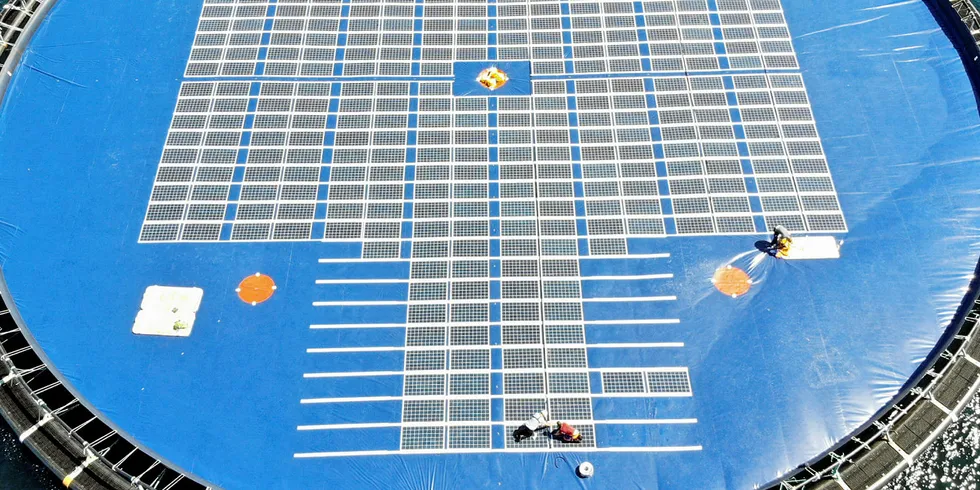 Testanlegg: Ved Austevoll utenfor Bergen ligger et av testanleggene til Ocean Sun. Anlegget har en diameter på 50 meter og 360 moduler på rundt 100kWp.