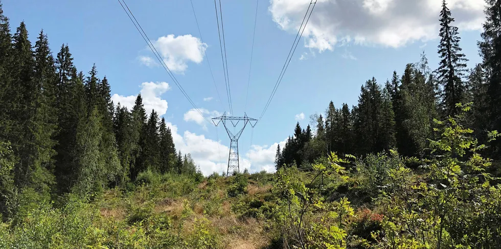 Statnett vil gi betalingsutsettelse på nettleie, men Energi Norge er skeptiske til om dette er en god løsning.