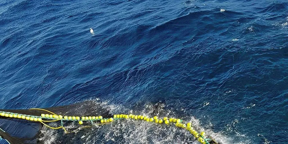 RESSURSRENTE: Fiskeflåten betaler allerede ressursrente gjennom alt vi legger igjen langs hele kysten.Illustrasjonsfoto: Gunnar Langva