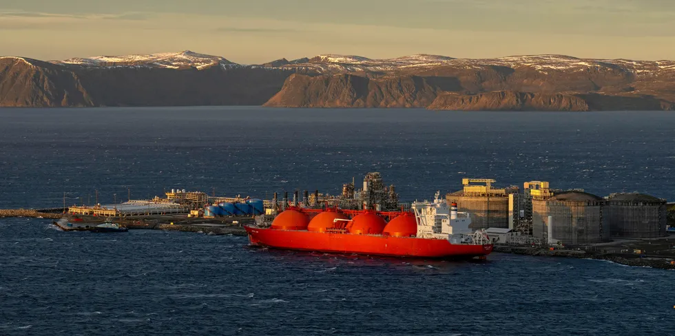 Statnett mener at planene om elektrifisering av Melkøya utenfor Hammerfest gjør at utbyggingen av en større kraftledning i området kan fortsette, selv om byggingen av gassfeltet Wisting er utsatt. Reineiere er uenige.
