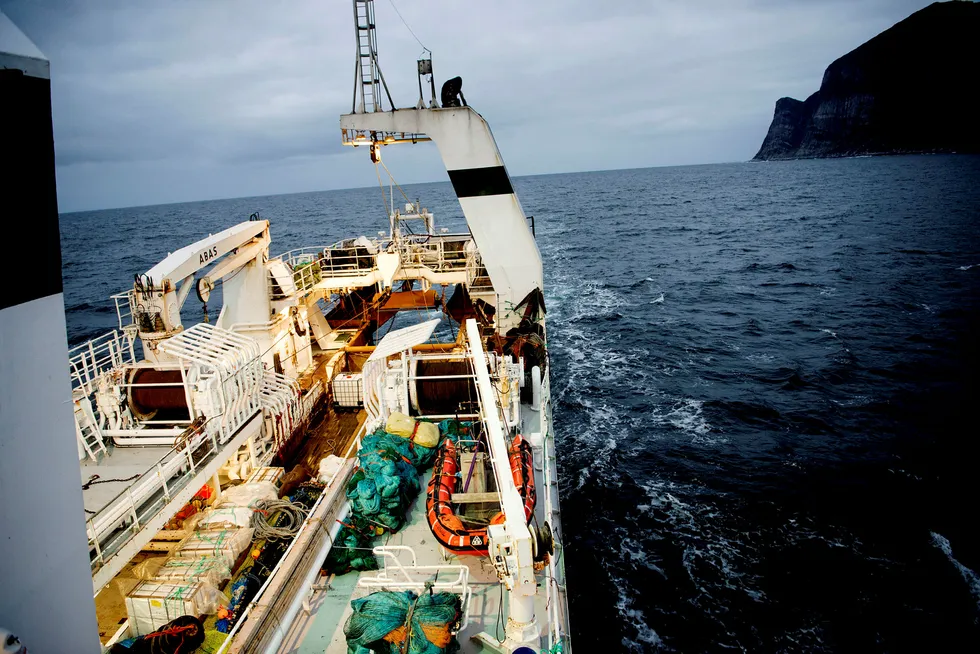 Vi kan ikke overse de potensielt store konsekvensene havvind har for våre fiskebestander og økosystemene i havet, skriver Hanna Bauge i innlegget.