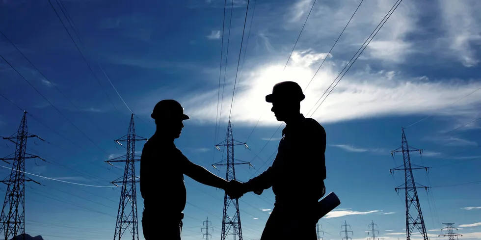 De små nettselskapenes får støtte fra gigantene Statkraft og Hydro i kravet om unntak fra funksjonelt skille.