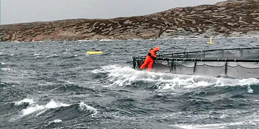 Uværsarbeid på merdkanten.